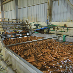 Packing Process Image 1