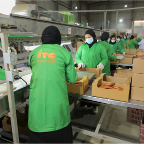 Packing Process Image 11