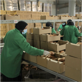 Packing Process Image 12