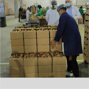 Packing Process Image 13