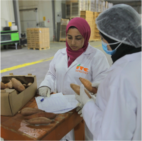 Packing Process Image 14