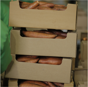 Packing Process Image 4