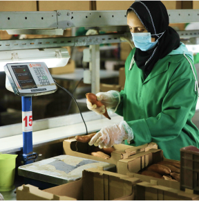 Packing Process Image 6