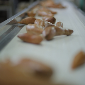 Packing Process Image 9