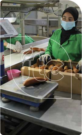 Sorting, Sizing & Final Inspection