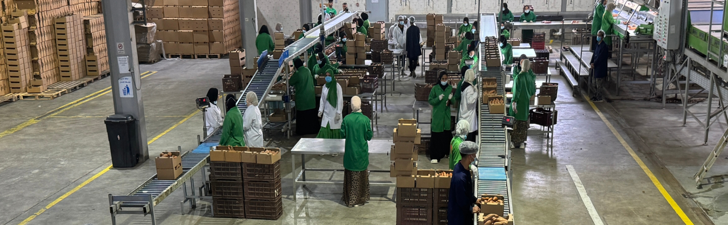 Trust Section Background