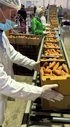 Processing & Packing