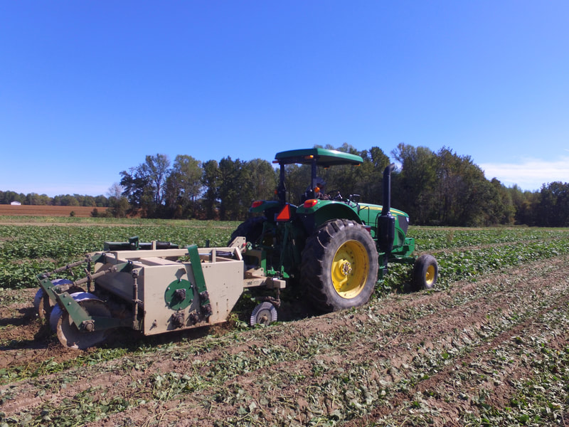 Working in the field