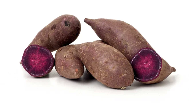 Molokai Purple