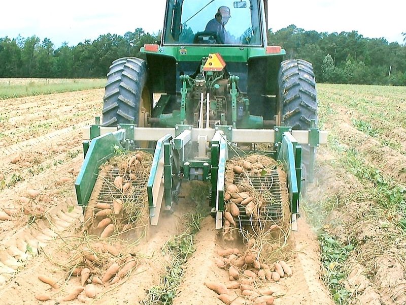 Working in the field